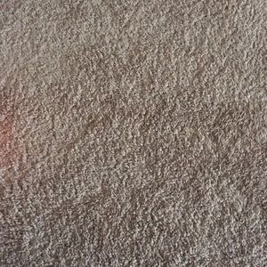 Meet your Posher, Rhonda